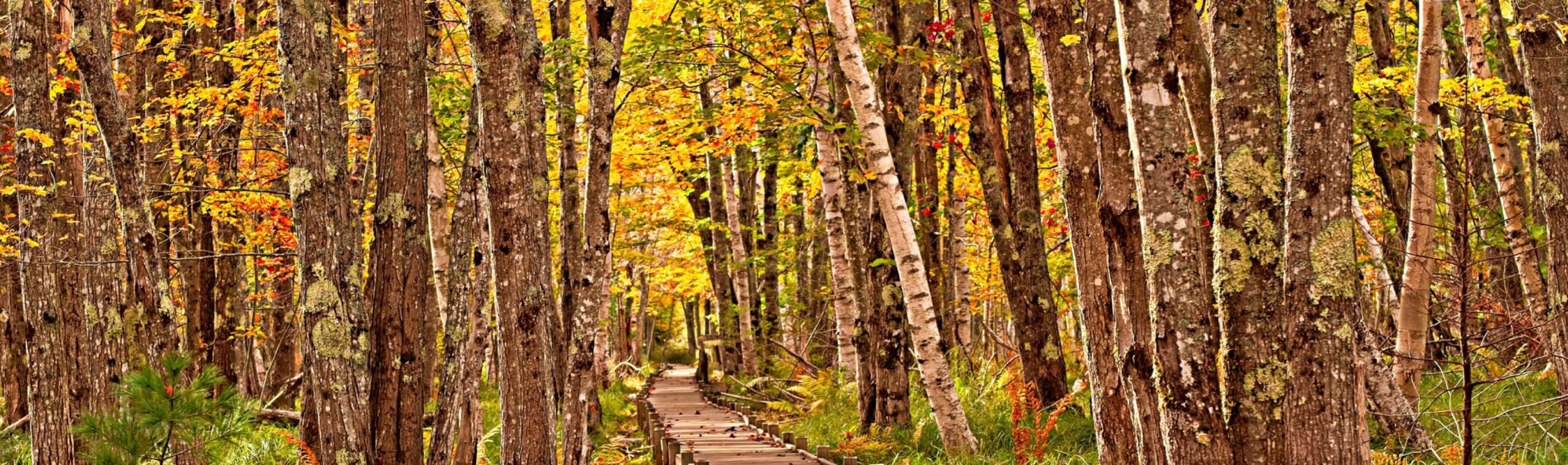 Educational Library Retirement Solutions