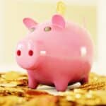 Piggy bank surrounded by money used for retirement
